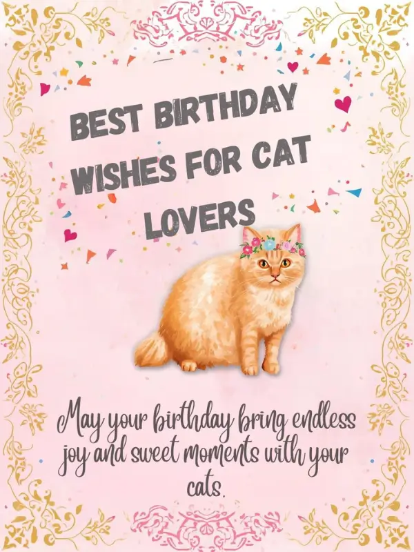 Best Birthday Wishes for Cat Lovers