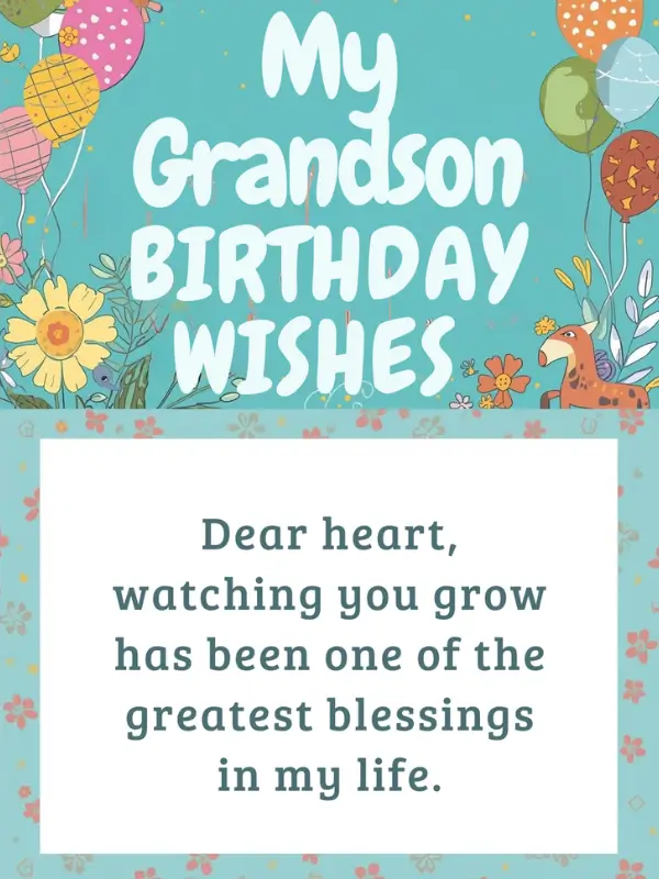 My Grandson Birthday Wishes