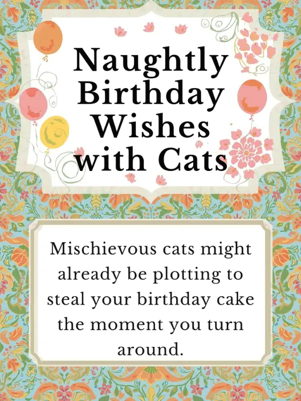 Naughty Birthday Wishes with Cats