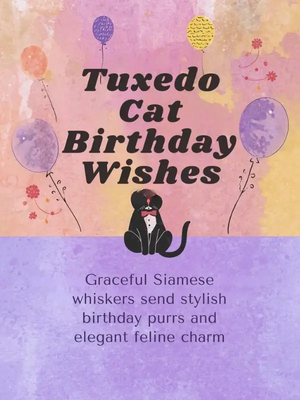 Tuxedo Cat Birthday Wishes