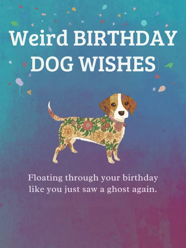 Weird Birthday Dog Wishes